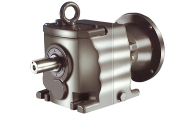 Gear Motor