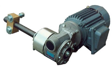 Gear Motor